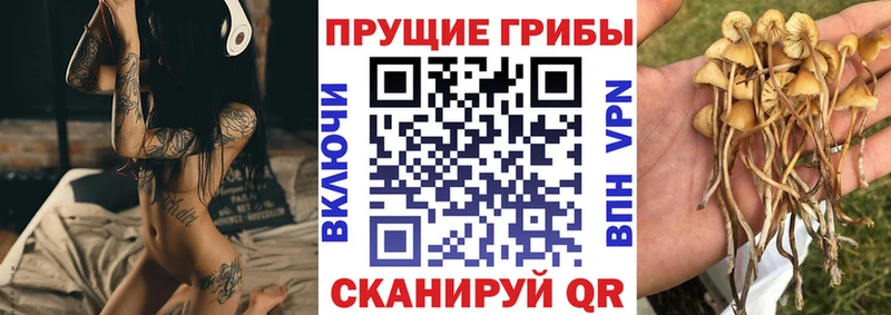 Галлюциногенные грибы мицелий  ОМГ ОМГ ТОР  Облучье 